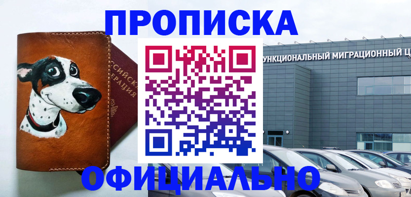 временная прописка в Жуковке